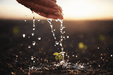 Joseph  well - water revolution system 